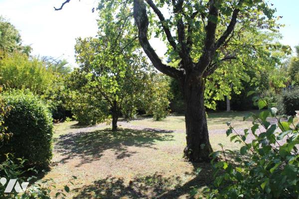 NIORT CENTRE VILLE, BELLE MAISON DE TYPE 5 A FORT POTENTIELAVEC PARC SANS VIS-A-VIS .
