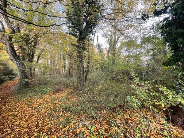 Saint-Germain-sur-Morin (77860) TERRAIN A BATIR DE 1600 M²