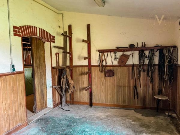 Domaine équestre d’exception sur 40 hectares — Authenticité, nature et passion proche de Penne d’Agenais (47)