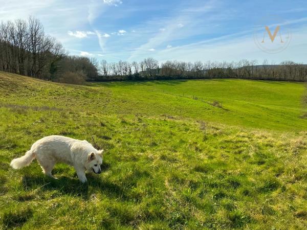 Domaine équestre d’exception sur 40 hectares — Authenticité, nature et passion proche de Penne d’Agenais (47)