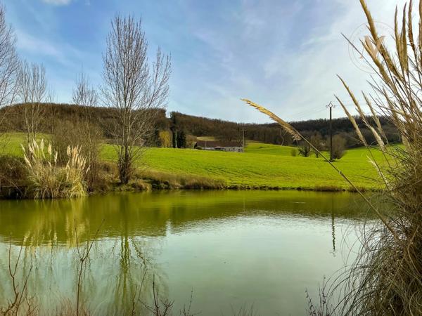 Domaine équestre d’exception sur 40 hectares — Authenticité, nature et passion proche de Penne d’Agenais (47)