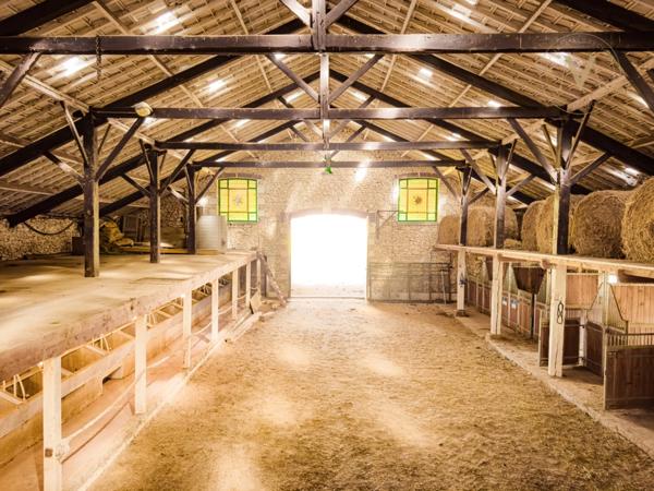 Domaine équestre d’exception sur 40 hectares — Authenticité, nature et passion proche de Penne d’Agenais (47)