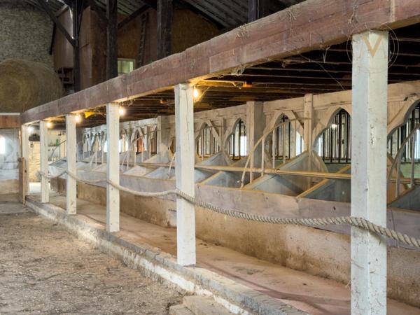 Domaine équestre d’exception sur 40 hectares — Authenticité, nature et passion proche de Penne d’Agenais (47)