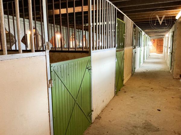 Domaine équestre d’exception sur 40 hectares — Authenticité, nature et passion proche de Penne d’Agenais (47)