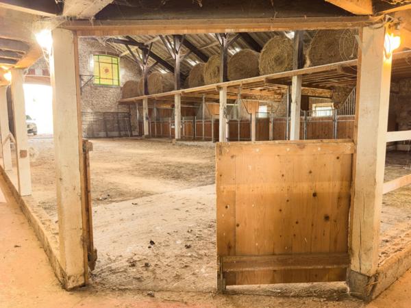 Domaine équestre d’exception sur 40 hectares — Authenticité, nature et passion proche de Penne d’Agenais (47)