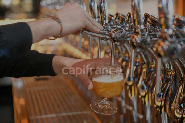 à vendre Pizzeria licence IV EST LYONNAIS (69)