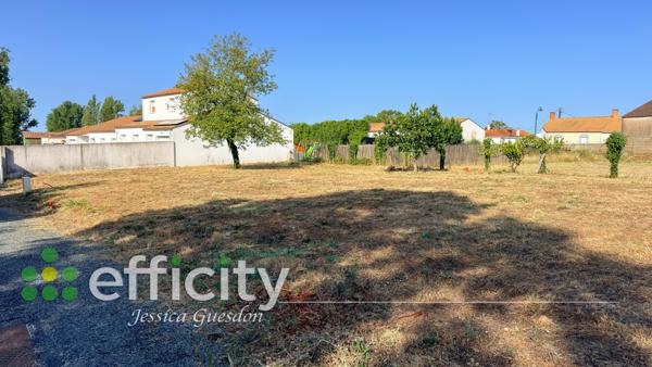 Terrain
        
        - 353 m² 72 070 € *