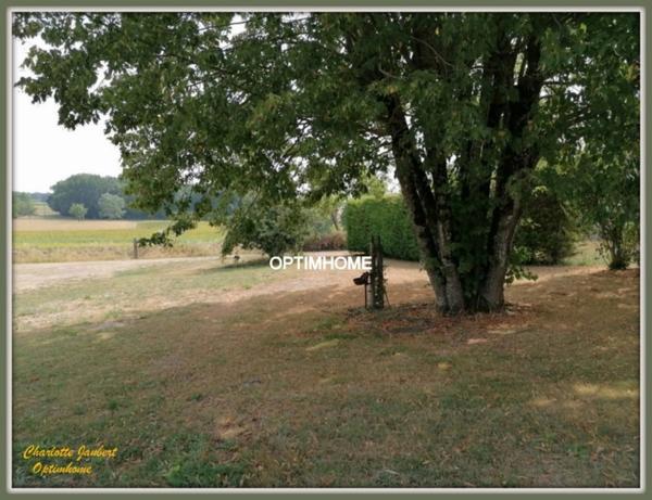terrain