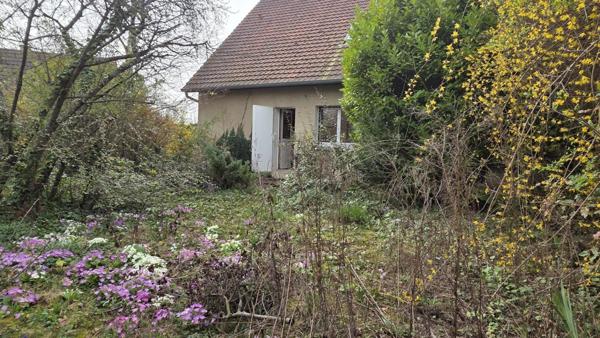 Maison 4 chambres Jardin Sous sol