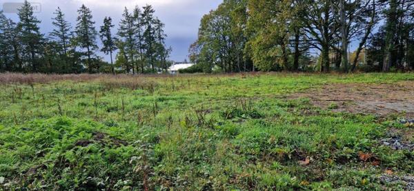 Terrain à Batir à vendre à Ploërmel dans le Morbihan (56800), ref : 35176/plo