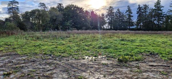 Terrain à Batir à vendre à Ploërmel dans le Morbihan (56800), ref : 35176/plo