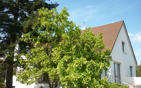 Maison à louer