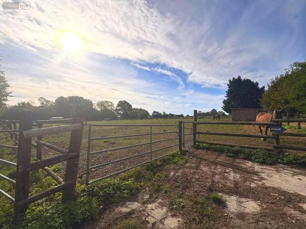 Achat - Maison Bréhal 50290 8 pièces 433 m 2 71350 m 2