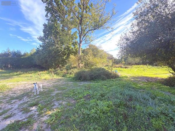 Achat - Maison Bréhal 50290 8 pièces 433 m 2 71350 m 2