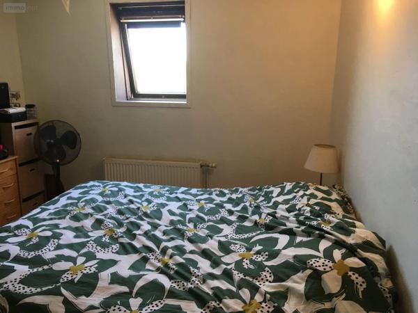 Achat - Maison Bergues 59380 7 pièces 137 m 2 300 m 2