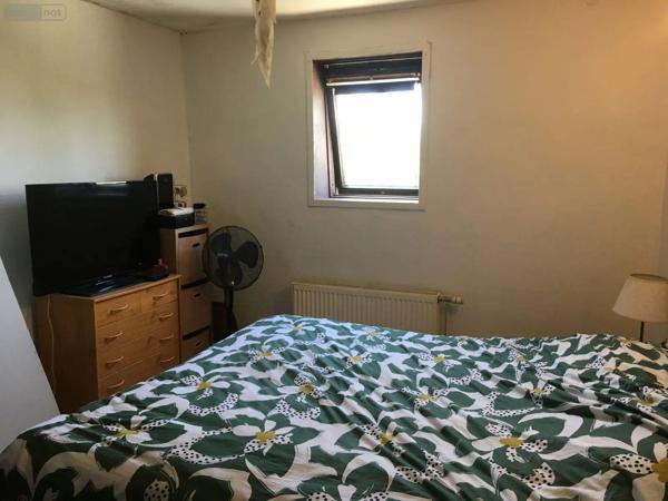 Achat - Maison Bergues 59380 7 pièces 137 m 2 300 m 2