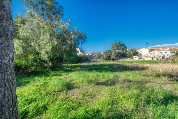 Terrain constructible (Villas ou Collectif) Saint Florent Centre Ville