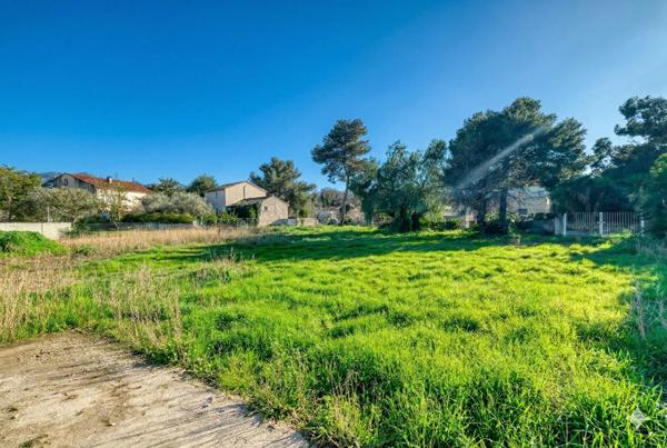 Terrain constructible (Villas ou Collectif) Saint Florent Centre Ville
