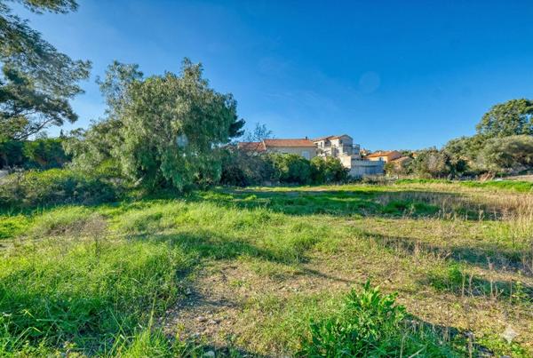 Terrain constructible (Villas ou Collectif) Saint Florent Centre Ville