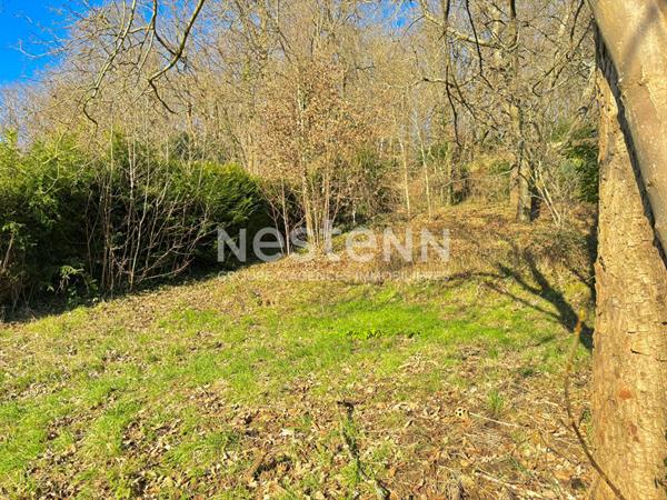 Nestenn Igny - Terrain constructible 766 m² à Vauhallan - Zone UB3 (20 % emprise) - Viabilisé - Plateau de Saclay - RER C / Ligne V Igny - Accès N118 / A6 / A10 - Paris Sud