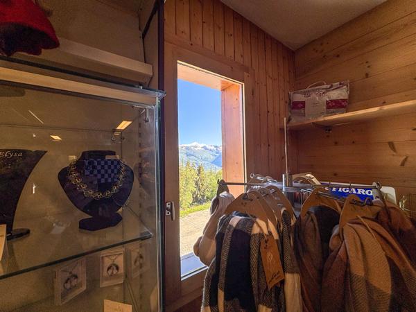 Commerce à vendre à La Plagne Tarentaise (73210) - Savoie
