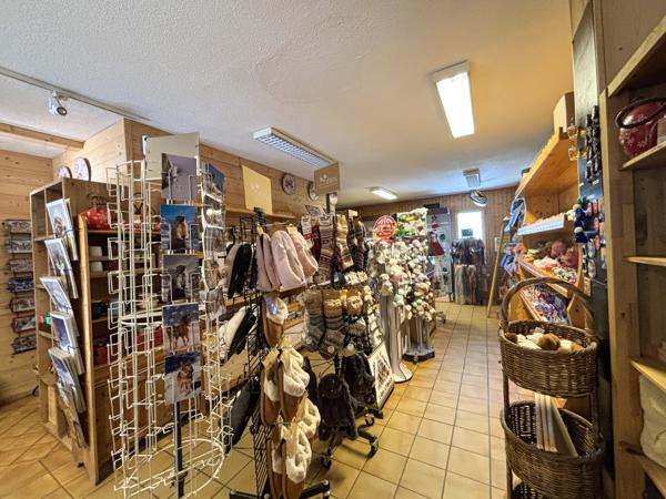 Commerce à vendre à La Plagne Tarentaise (73210) - Savoie