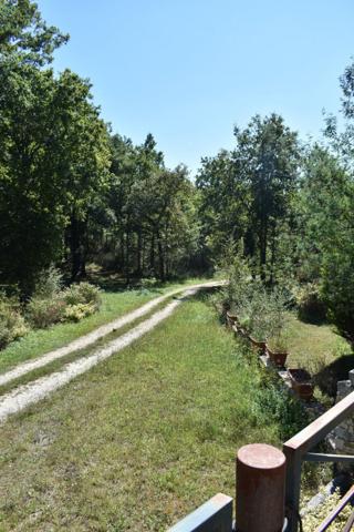 Propriété potentielle bénéficiant d'une tranquillité absolue, au sein d'un somptueux parc de 5 hectares, un véritable havre de verdure.