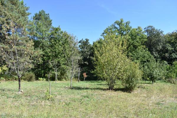 Propriété potentielle bénéficiant d'une tranquillité absolue, au sein d'un somptueux parc de 5 hectares, un véritable havre de verdure.
