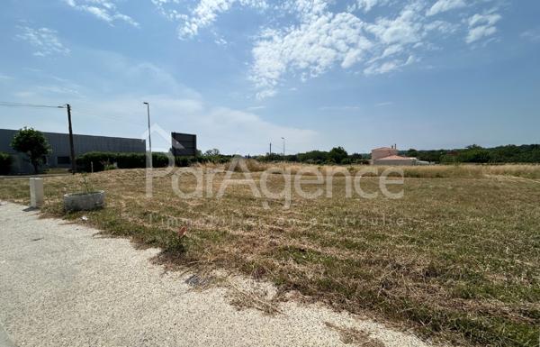 Terrain Viabilisé et libre de constructeur