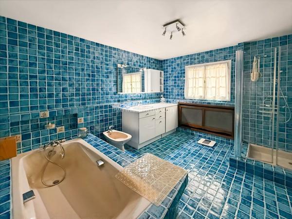 Vente Maison 9 pièces 291 m2 à Limeil-Brévannes