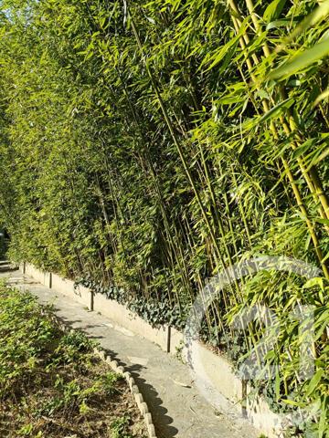 Maison à vendre  7 pièces - 150 m2 CHILLY MAZARIN - 91