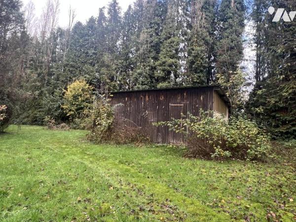 LA FERTE MACE, maison 3ch, sous-sol, terrain arboré