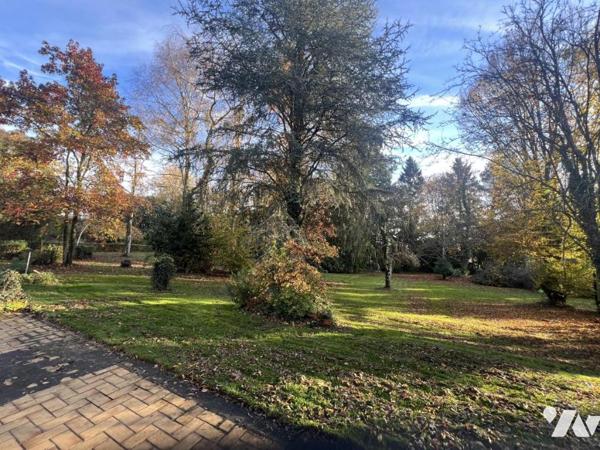 LA FERTE MACE, maison 3ch, sous-sol, terrain arboré