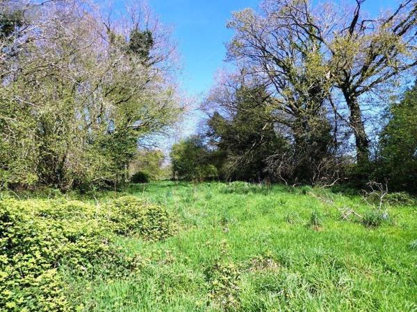 Maison à vendre à Maël-Carhaix dans les Côtes-d'Armor (22340), ref : 56075-2218