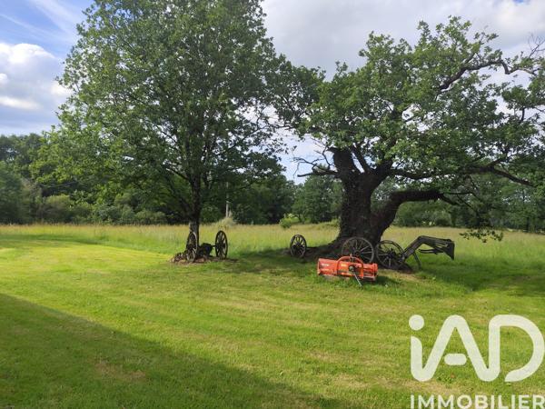 Maison à vendre 8 pièces 280 m² Le Houga