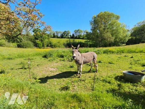 Antigny -Unique et rare pour ce bien d'exception au cœur d'un village sera accueillir votre famille.