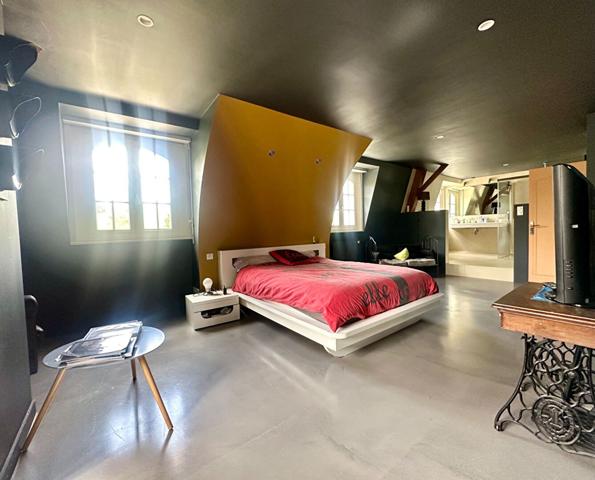 Demeure de prestige Joue Les Tours 9 pièce(s) 299 m2