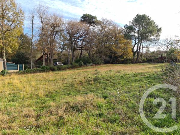 Terrain à vendre  1300 m 2   SOULAC SUR MER  - 33