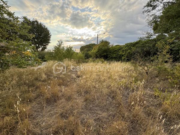 Terrain commercial de 1 160 m²