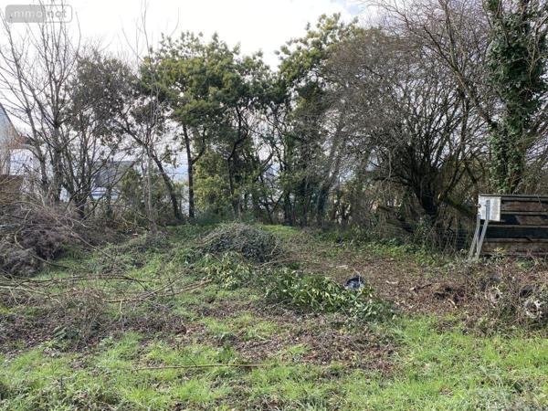 Terrain à Batir à vendre à Le Hézo dans le Morbihan (56450), ref : 56016-541