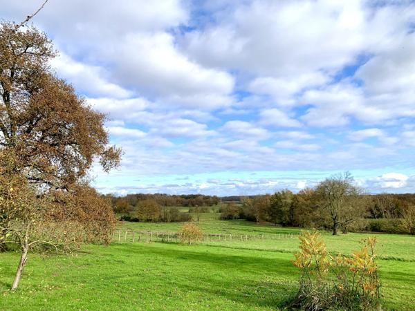 Jolie ferme Bressane rénovée avec très belle vue dégagée