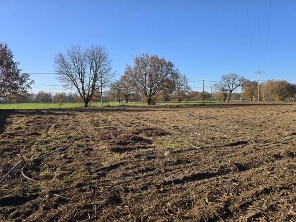 Vente / Terrain constructible