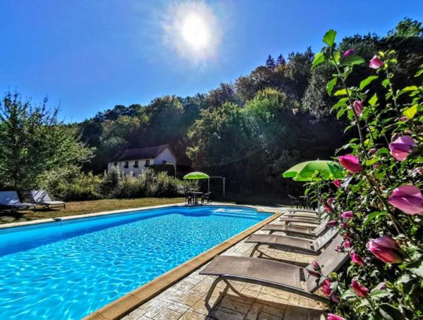 Maison ancienne - Les eyzies TOUT À PIED ! RARE PROPRIÉTÉ DE 4 CHAMBRES EN BORDURE D'UN VILLAGE MAGNIFIQUE AVEC TOUTES LES COMMODITÉS. SUPERBE PISCINE. ACTUELLEMENT AMÉNAGÉE EN DEUX MAISONS. 3 277 M² DE TERRAIN, PLUS UN BÂTIMENT SUPPLÉMENTAIRE À RESTAURER ! PF90322