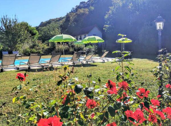 Maison ancienne - Les eyzies TOUT À PIED ! RARE PROPRIÉTÉ DE 4 CHAMBRES EN BORDURE D'UN VILLAGE MAGNIFIQUE AVEC TOUTES LES COMMODITÉS. SUPERBE PISCINE. ACTUELLEMENT AMÉNAGÉE EN DEUX MAISONS. 3 277 M² DE TERRAIN, PLUS UN BÂTIMENT SUPPLÉMENTAIRE À RESTAURER ! PF90322