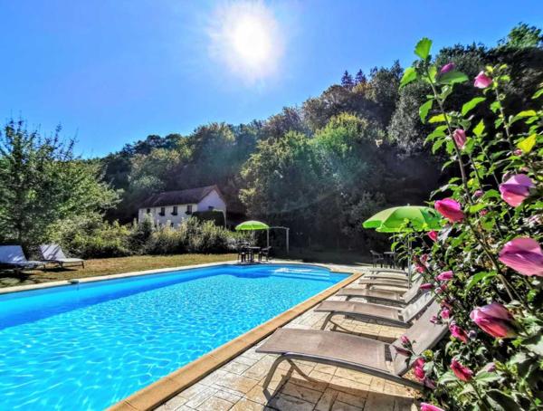 Maison ancienne - Les eyzies TOUT À PIED ! RARE PROPRIÉTÉ DE 4 CHAMBRES EN BORDURE D'UN VILLAGE MAGNIFIQUE AVEC TOUTES LES COMMODITÉS. SUPERBE PISCINE. ACTUELLEMENT AMÉNAGÉE EN DEUX MAISONS. 3 277 M² DE TERRAIN, PLUS UN BÂTIMENT SUPPLÉMENTAIRE À RESTAURER ! PF90322