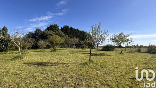 Maison à vendre 6 pièces 131 m² Rives-du-Loir-en-Anjou