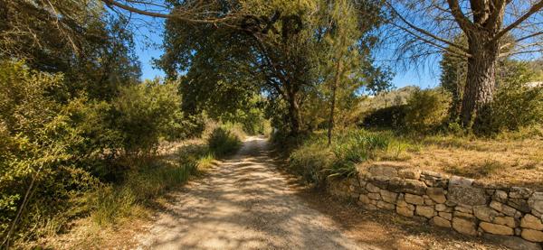 Terrain constructible de 1 200 m² à Ansouis – Un cadre de vie privilégié au cœur du Luberon