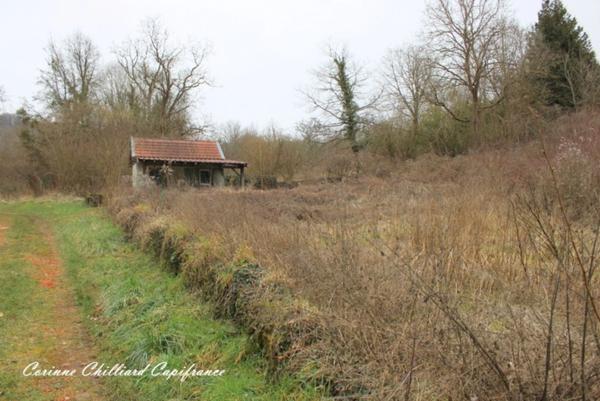 A vendre, appartements à rénover à Ancy sur Moselle (57130)