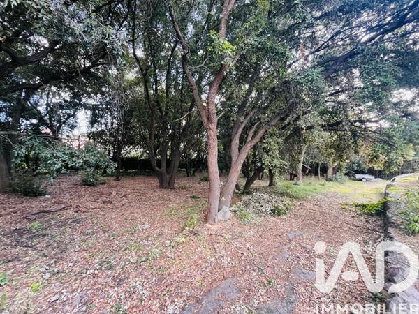 Maison à vendre 10 pièces 310 m² Biot