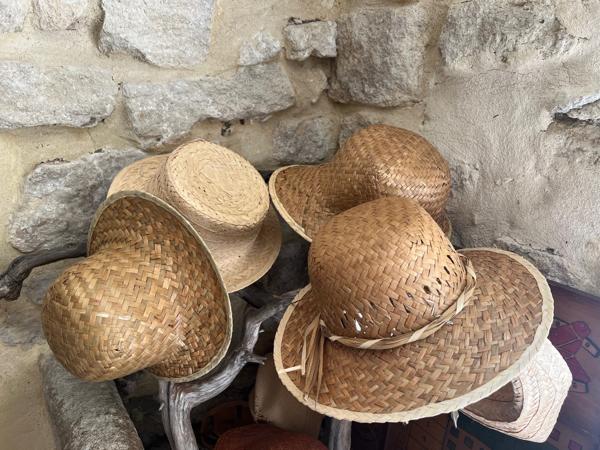 Carpentras (84200) Entre Caromb et les Dentelles de Montmirail – Authentique mas en pierre avec jardin, piscine, vue Ventoux